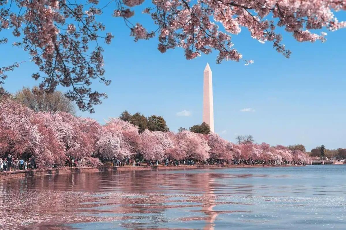 Luxury 4-br With Free Parking In Heart Of Dc - Steps To Metro * Washington